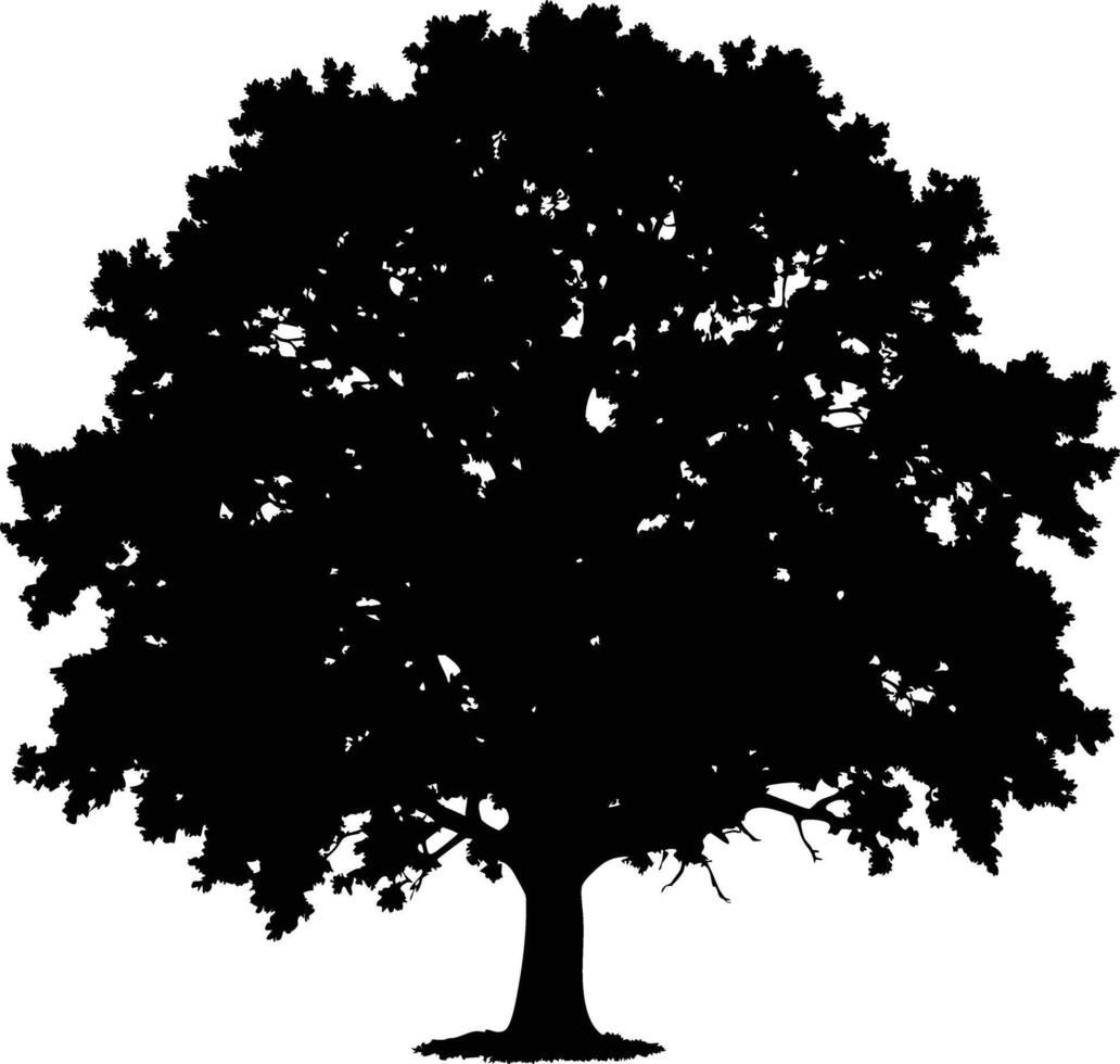 Single big Oak tree with leaves silhouette nature environment concept isolated on white background vector