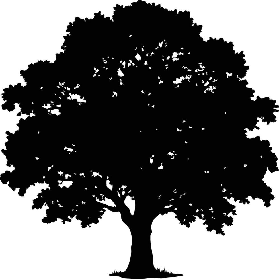 Single big Oak tree with leaves silhouette nature environment concept isolated on white background vector