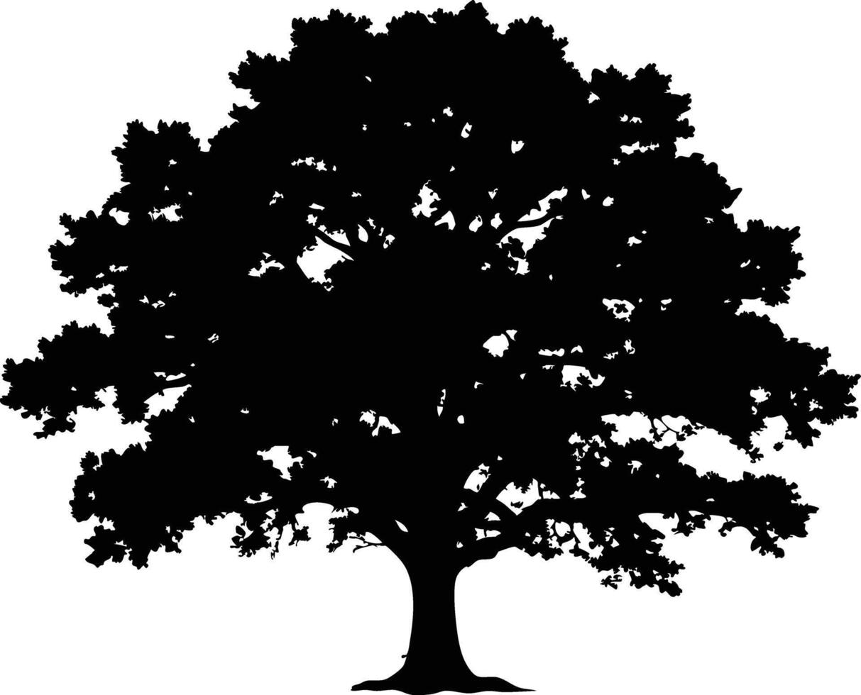 Single big Oak tree with leaves silhouette nature environment concept isolated on white background vector