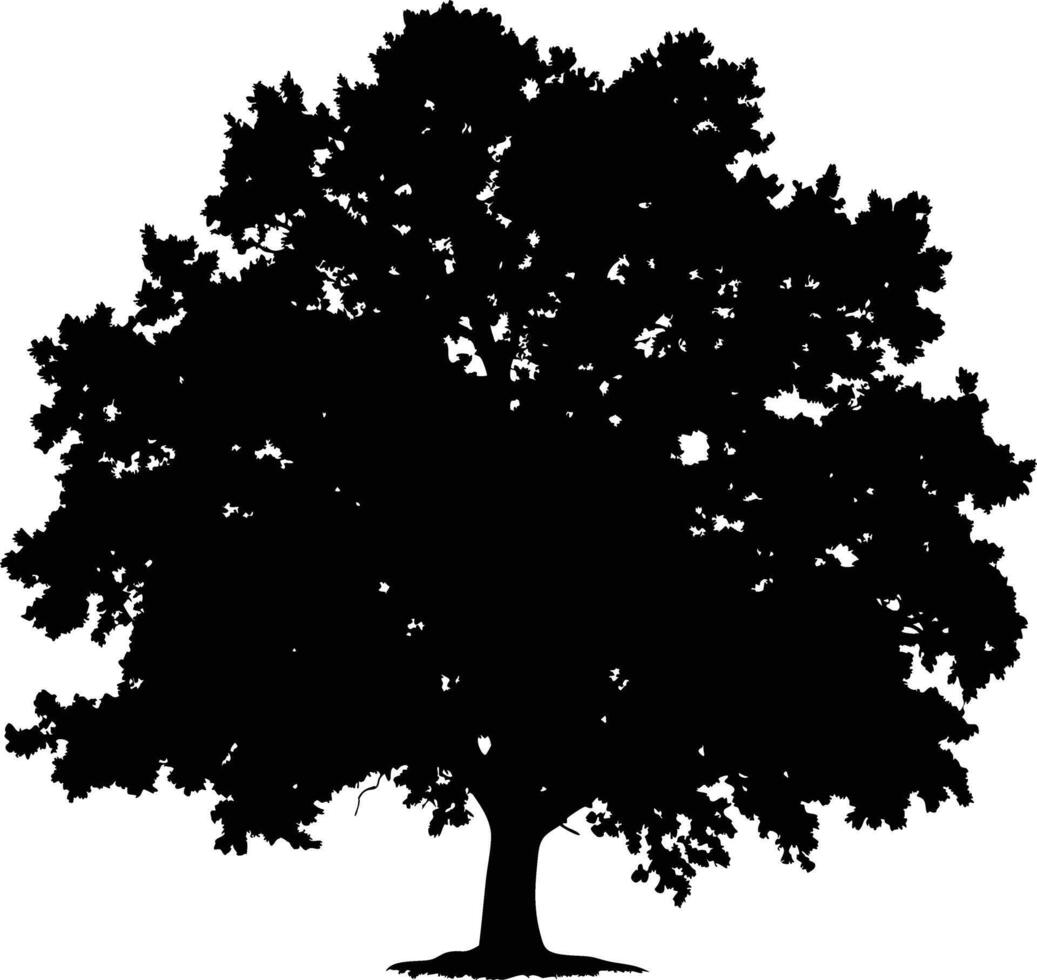 Single big Oak tree with leaves silhouette nature environment concept isolated on white background vector