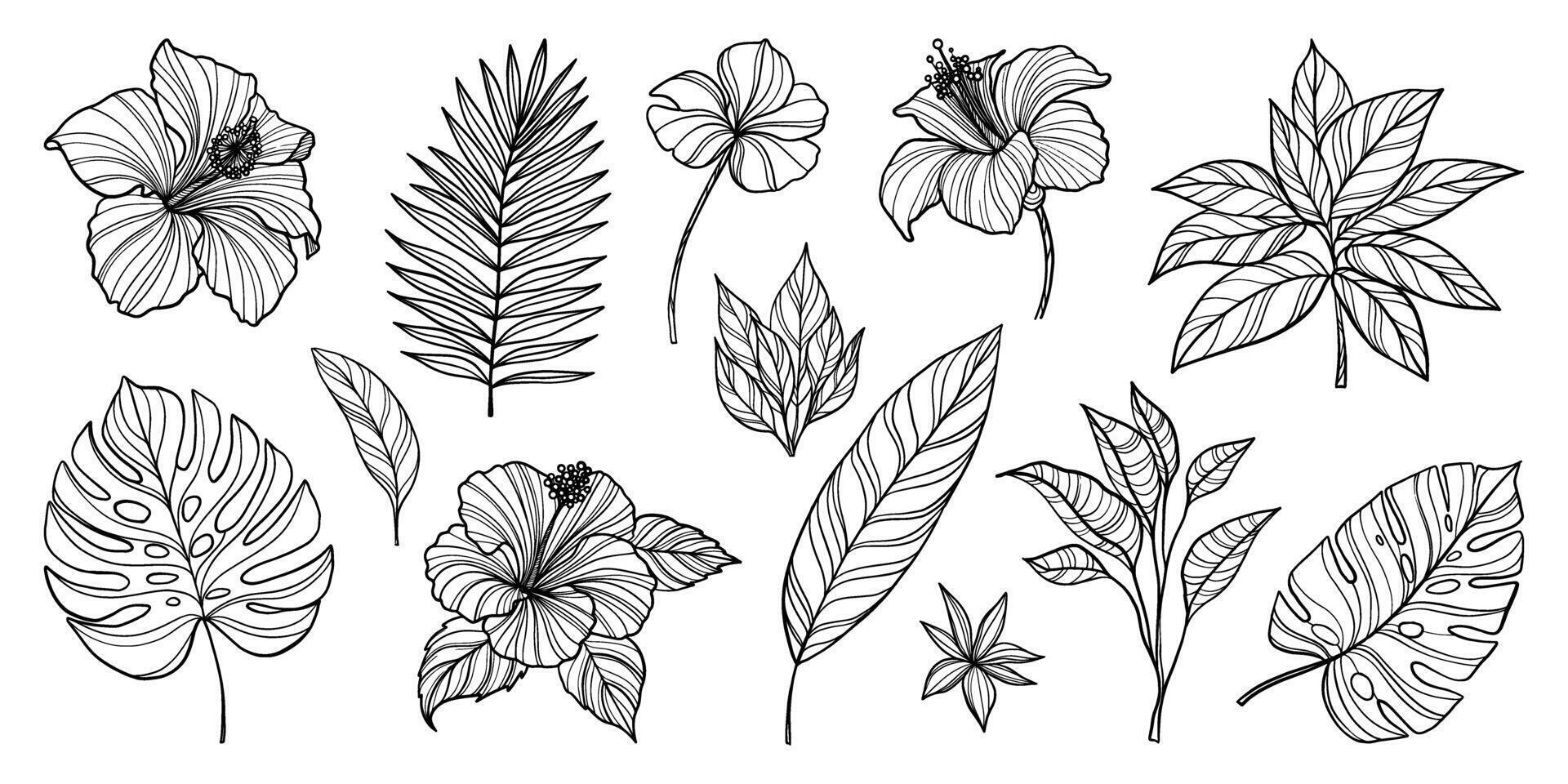 A harmonious blend of rich green tropical leaves, elegantly arranged to create a serene and lush botanical tapestry. Perfect for bringing the essence of the tropics into any space vector