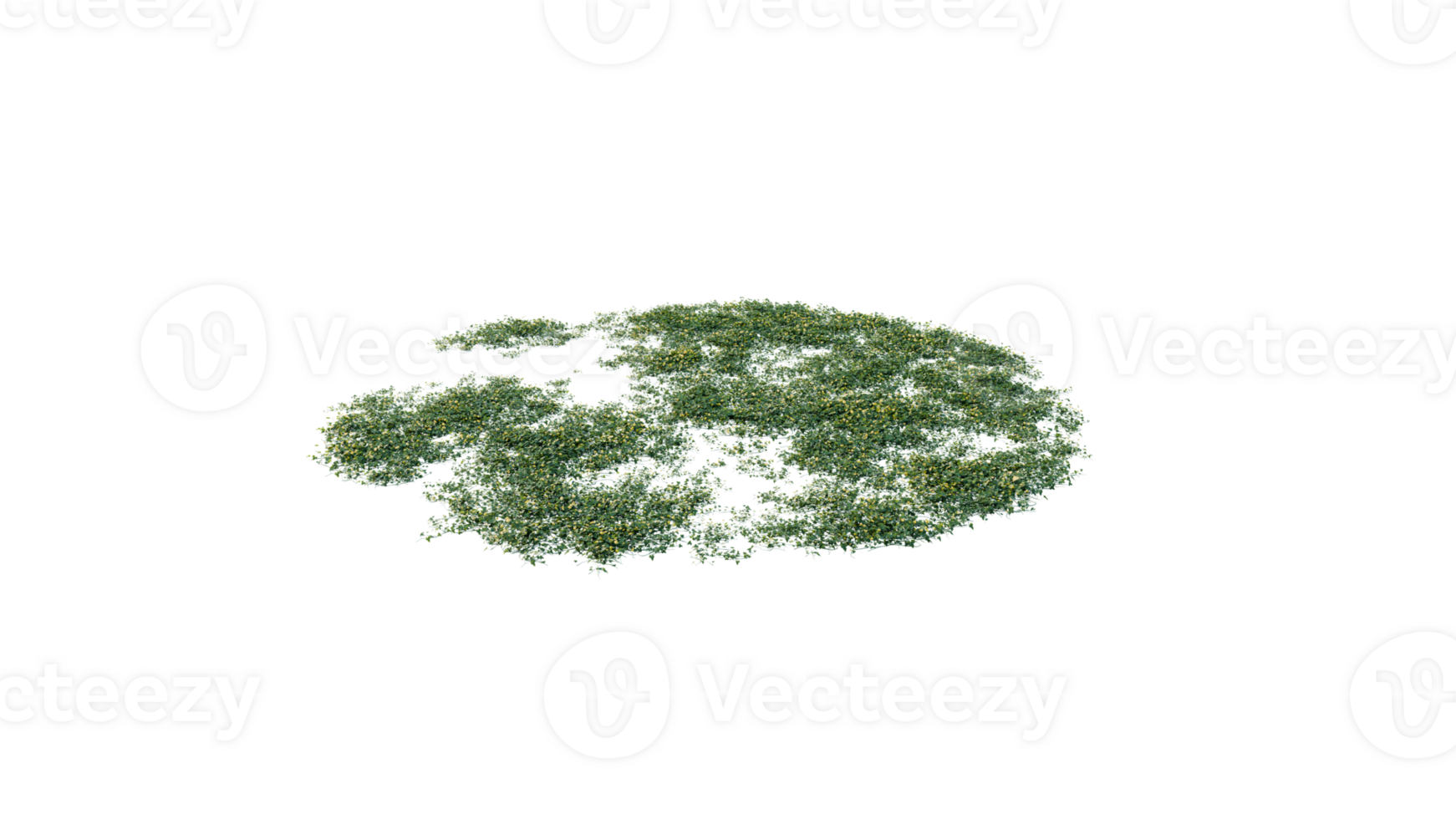 Round surface of Small Plant forest patch covered with flowers, green or dry grass and stone isolated on transparent background. Realistic natural element for design. Bright 3d png