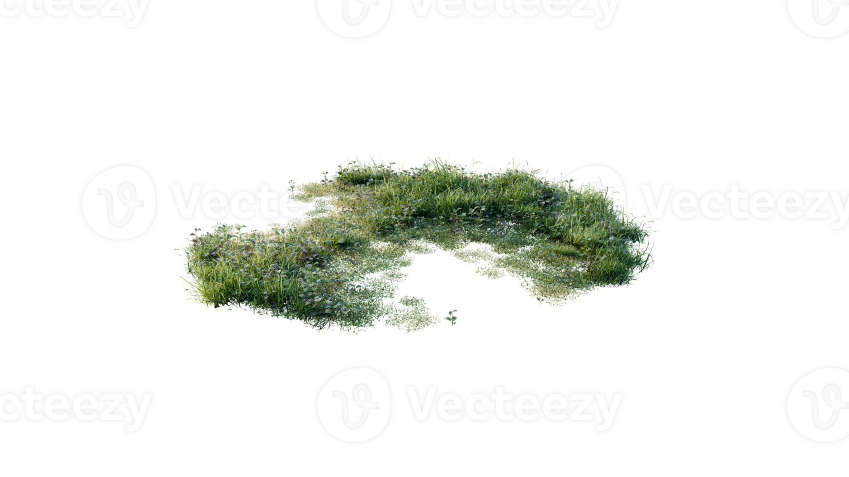 Round surface of Small Plant forest patch covered with flowers, green or dry grass and stone isolated on transparent background. Realistic natural element for design. Bright 3d png
