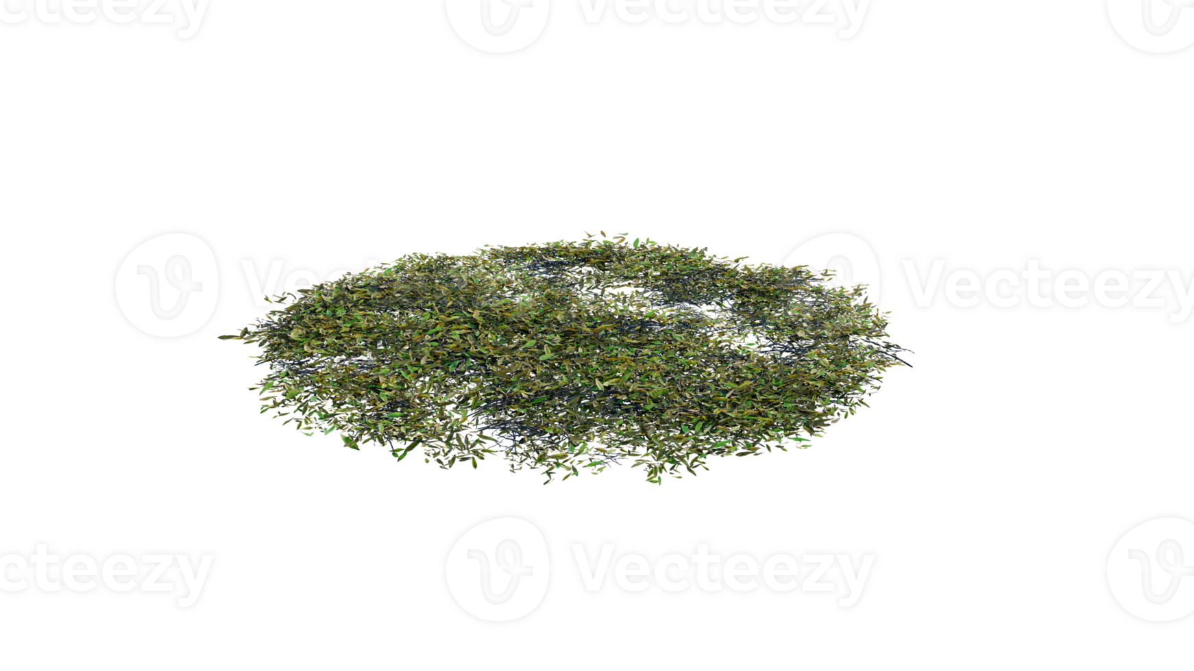 Round surface of Small Plant forest patch covered with flowers, green or dry grass and stone isolated on transparent background. Realistic natural element for design. Bright 3d png