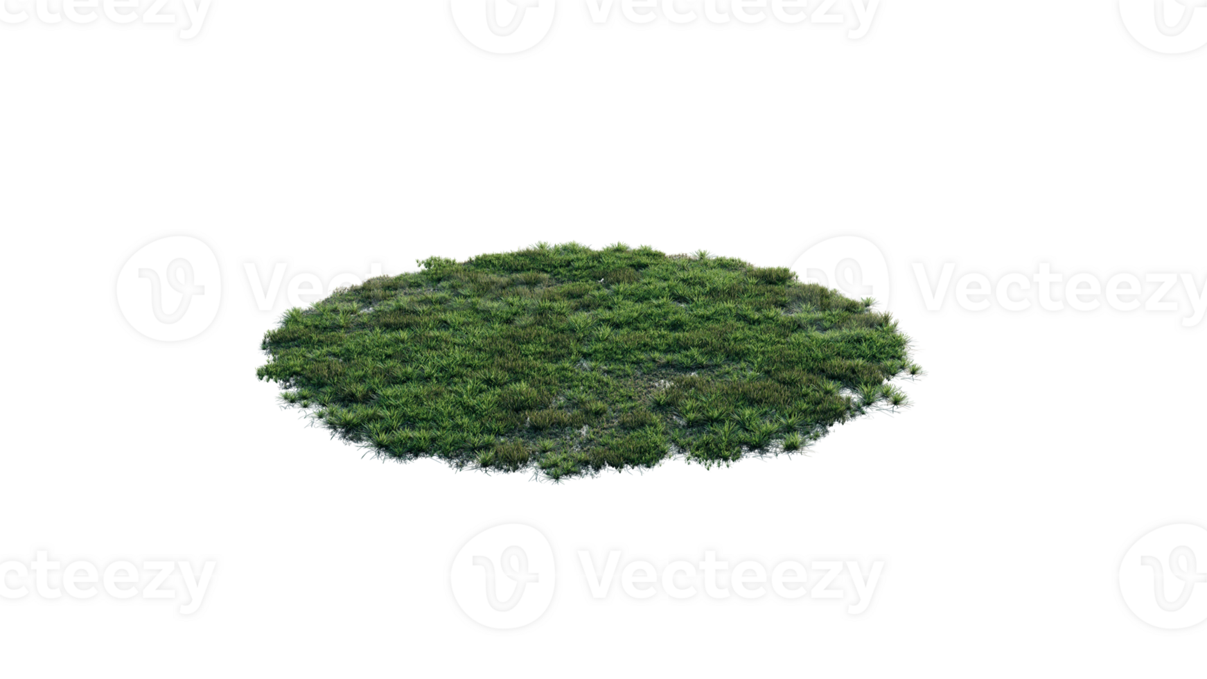 Round surface of Small Plant forest patch covered with flowers, green or dry grass and stone isolated on transparent background. Realistic natural element for design. Bright 3d png