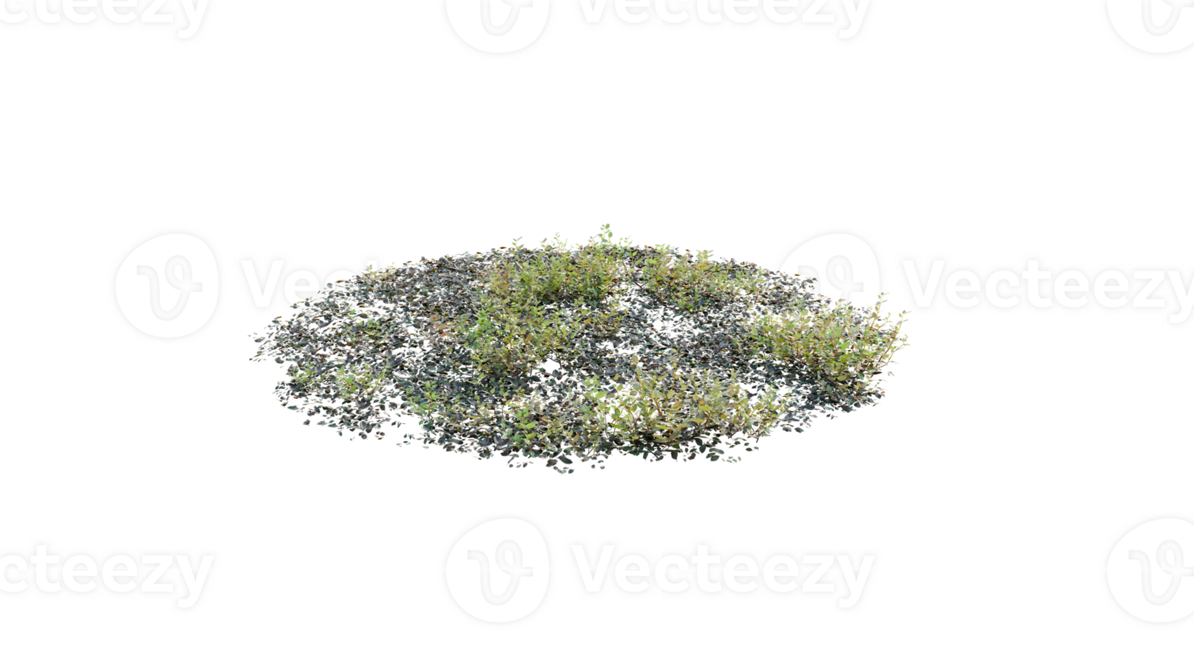 Round surface of Small Plant forest patch covered with flowers, green or dry grass and stone isolated on transparent background. Realistic natural element for design. Bright 3d png