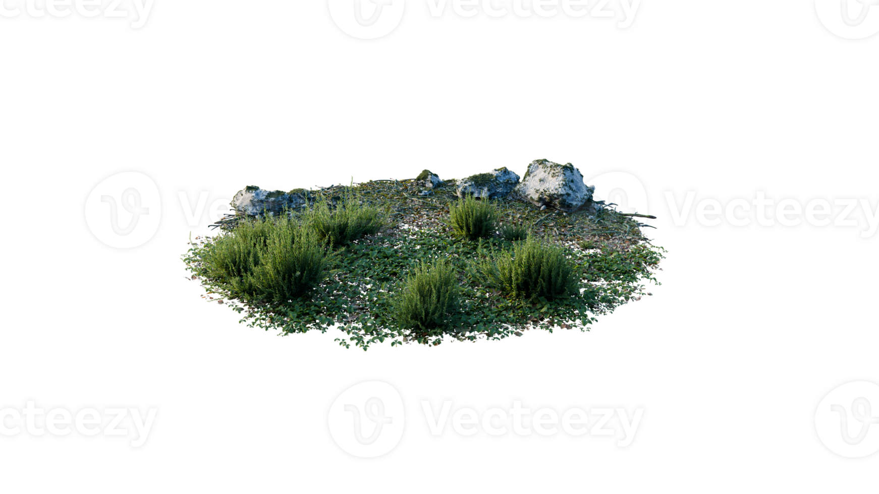 Round surface of Small Plant forest patch covered with flowers, green or dry grass and stone isolated on transparent background. Realistic natural element for design. Bright 3d png