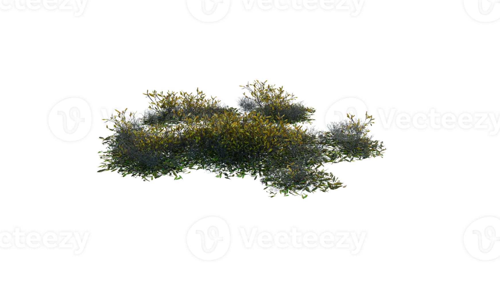 Round surface of Small Plant forest patch covered with flowers, green or dry grass and stone isolated on transparent background. Realistic natural element for design. Bright 3d png