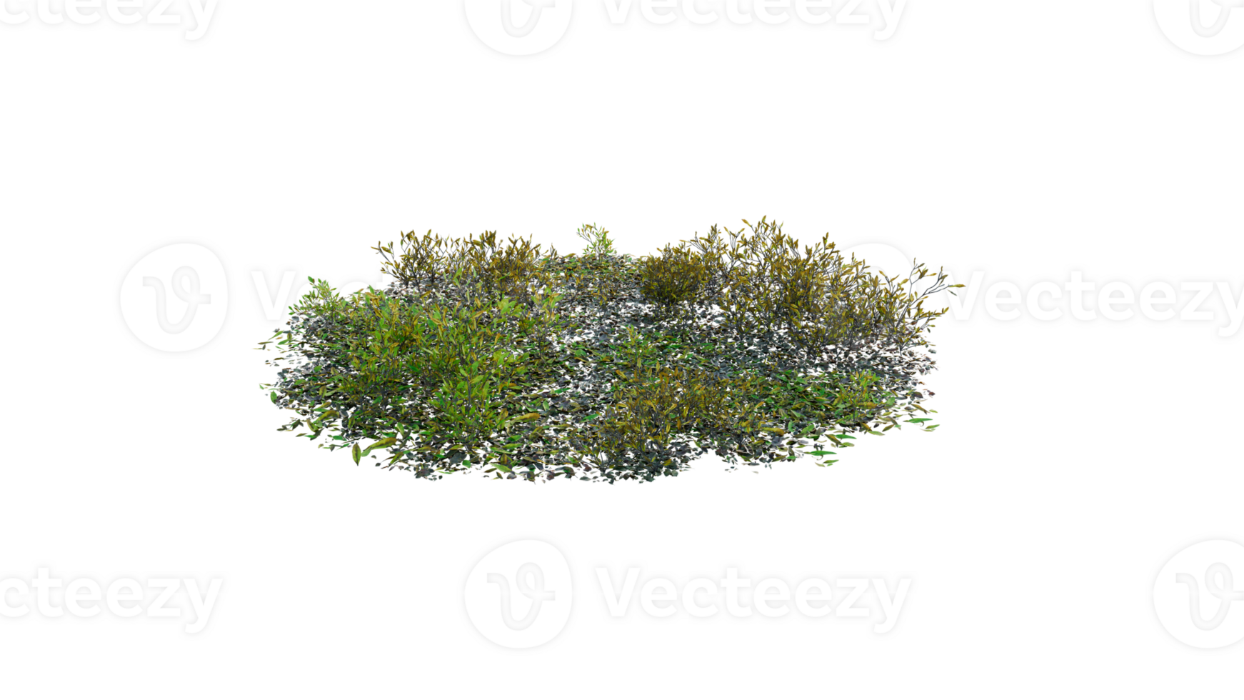 Round surface of Small Plant forest patch covered with flowers, green or dry grass and stone isolated on transparent background. Realistic natural element for design. Bright 3d png
