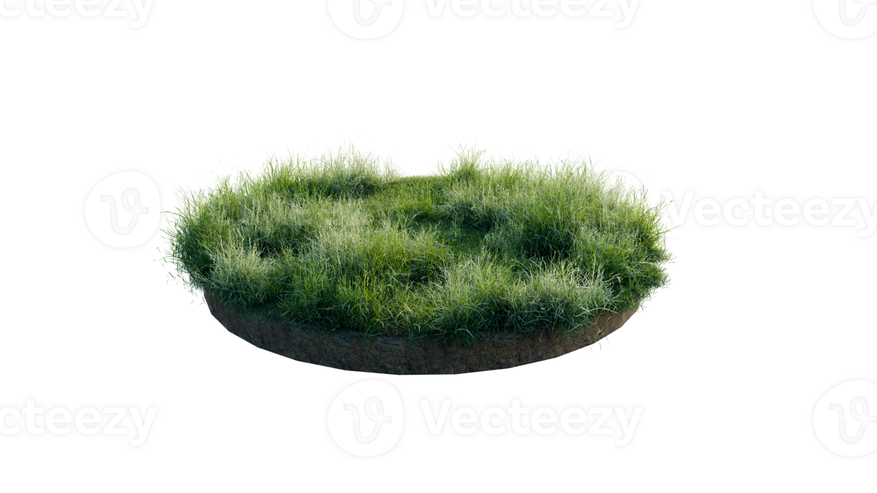 Round surface of Small Plant forest patch covered with flowers, green or dry grass and stone isolated on transparent background. Realistic natural element for design. Bright 3d png