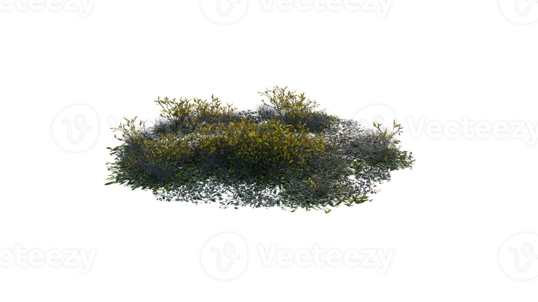 Round surface of Small Plant forest patch covered with flowers, green or dry grass and stone isolated on transparent background. Realistic natural element for design. Bright 3d png