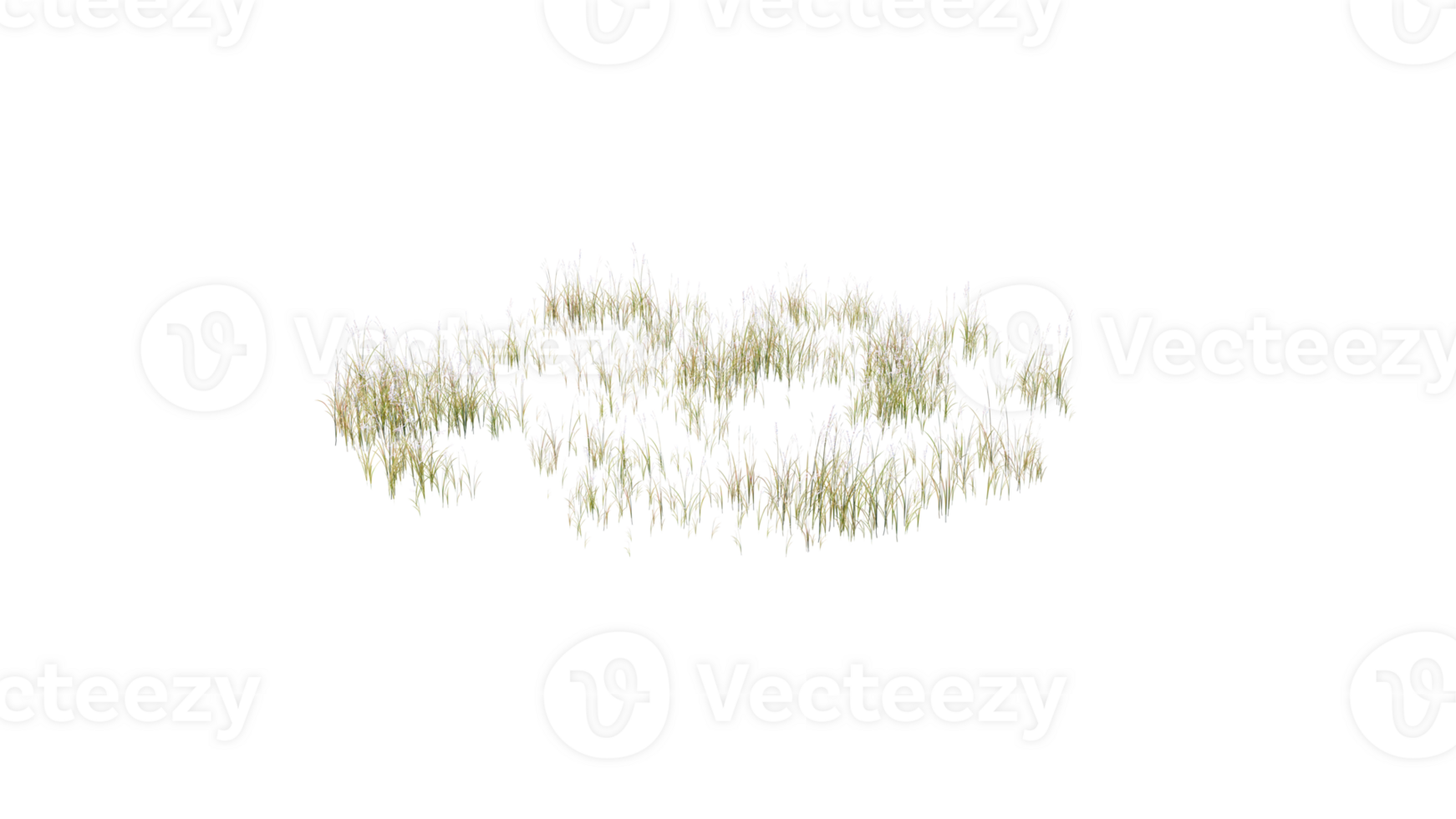 Round surface of Small Plant forest patch covered with flowers, green or dry grass and stone isolated on transparent background. Realistic natural element for design. Bright 3d png