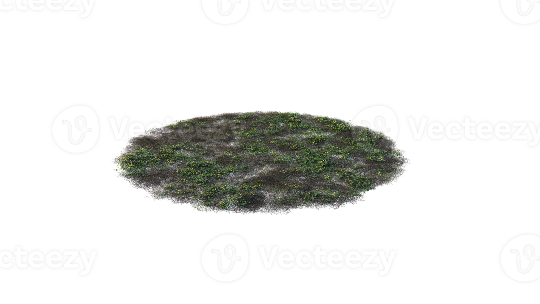 Round surface of Small Plant forest patch covered with flowers, green or dry grass and stone isolated on transparent background. Realistic natural element for design. Bright 3d png