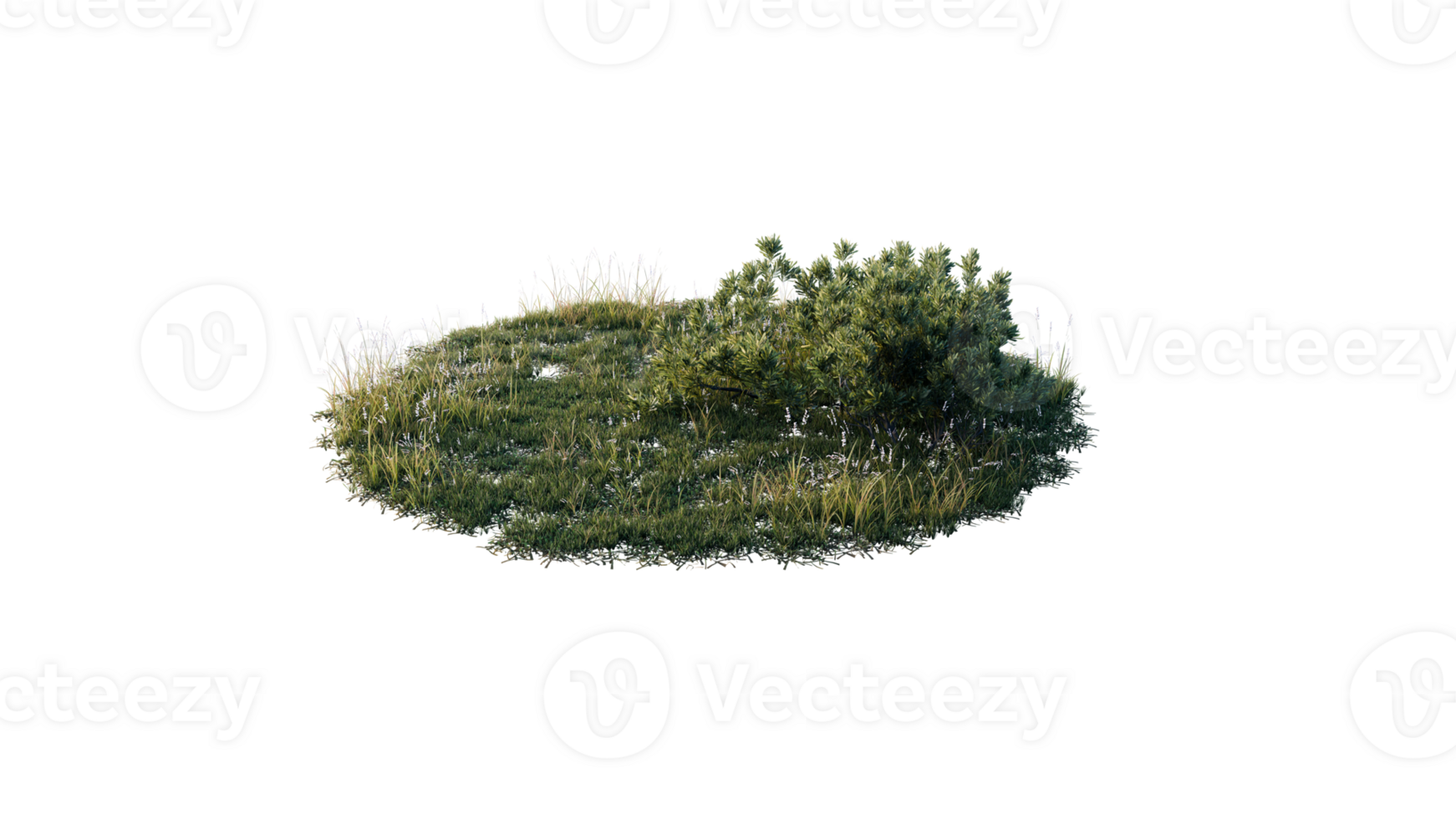Round surface of Small Plant forest patch covered with flowers, green or dry grass and stone isolated on transparent background. Realistic natural element for design. Bright 3d png