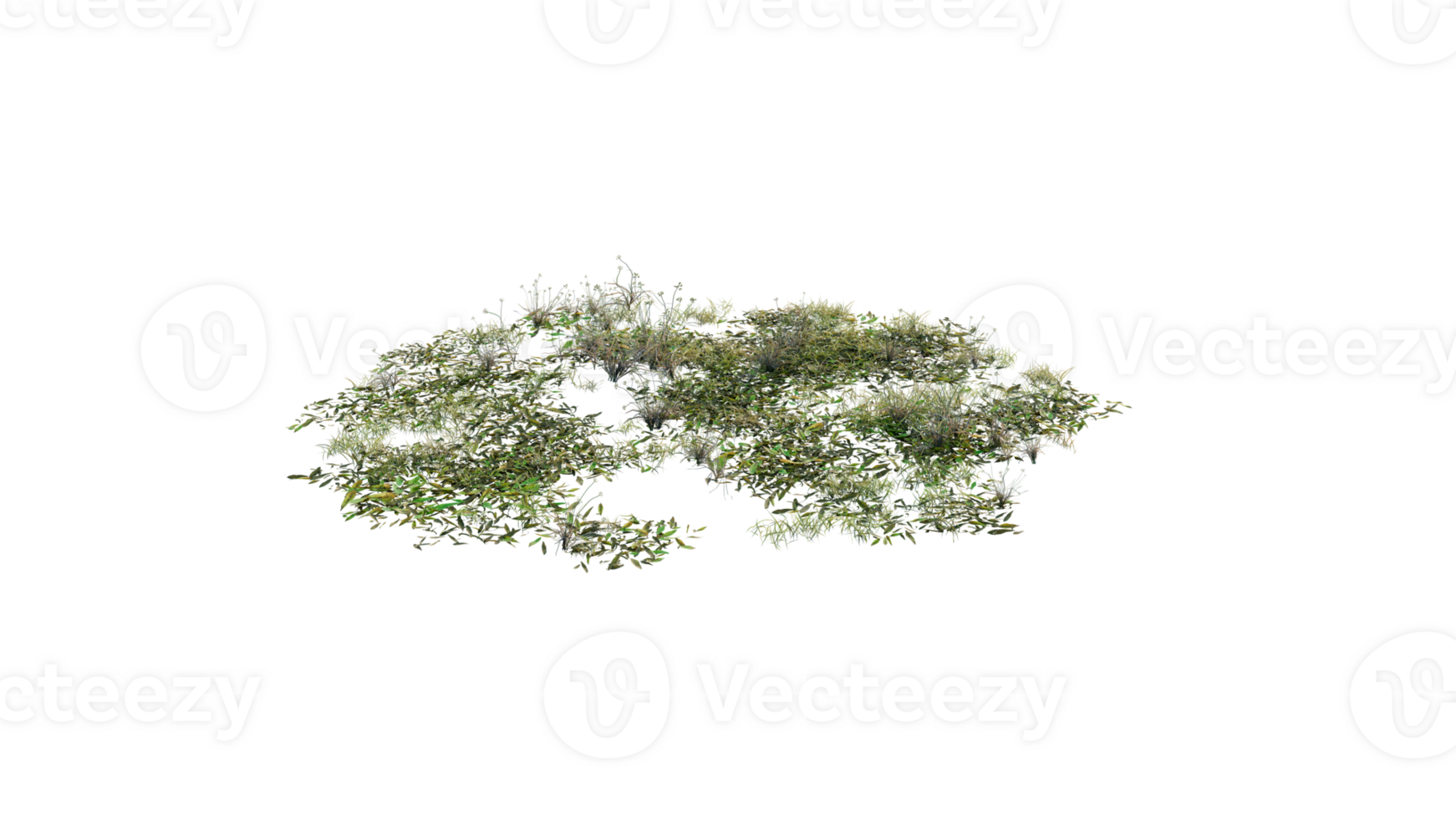 Round surface of Small Plant forest patch covered with flowers, green or dry grass and stone isolated on transparent background. Realistic natural element for design. Bright 3d png