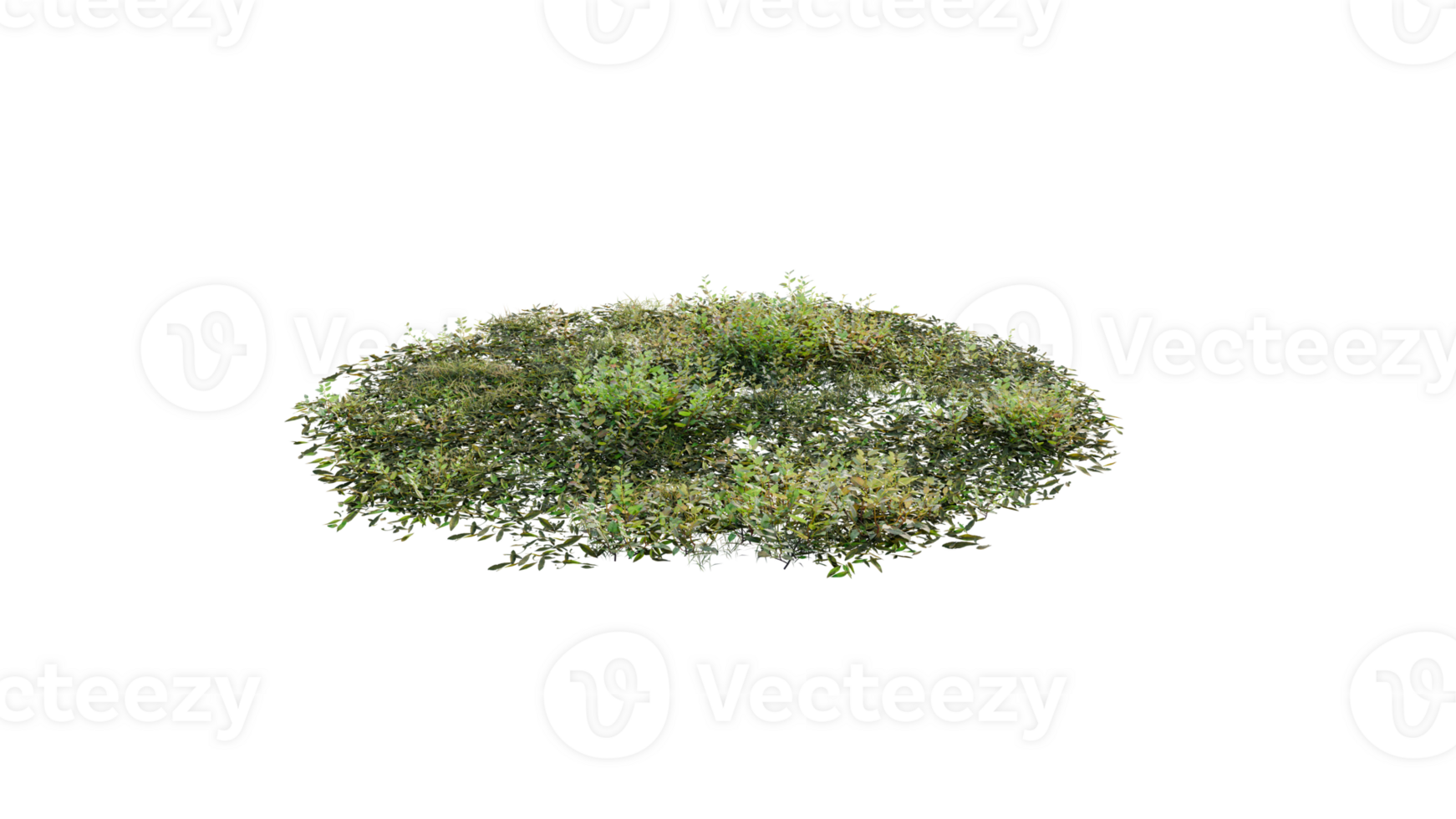 Round surface of Small Plant forest patch covered with flowers, green or dry grass and stone isolated on transparent background. Realistic natural element for design. Bright 3d png