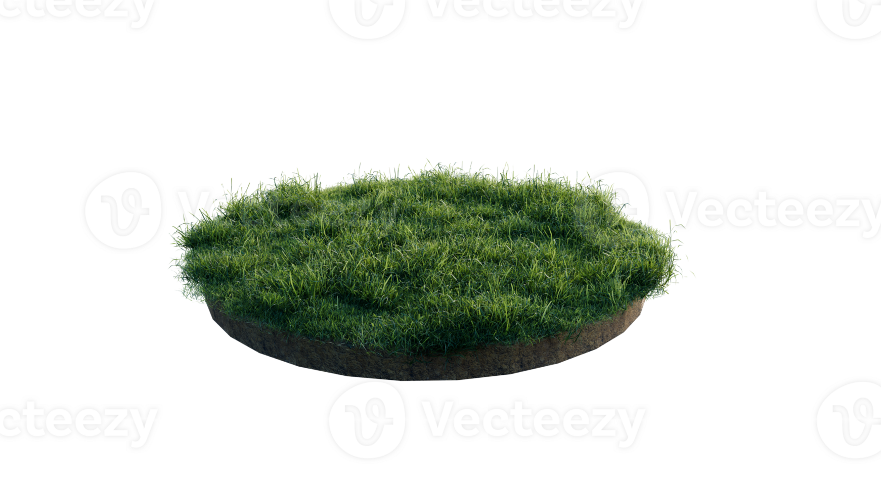 Round surface of Small Plant forest patch covered with flowers, green or dry grass and stone isolated on transparent background. Realistic natural element for design. Bright 3d png