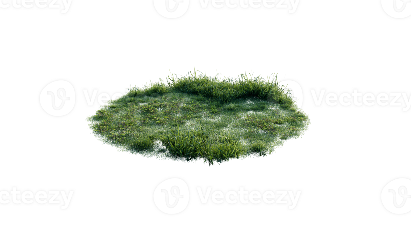 Round surface of Small Plant forest patch covered with flowers, green or dry grass and stone isolated on transparent background. Realistic natural element for design. Bright 3d png