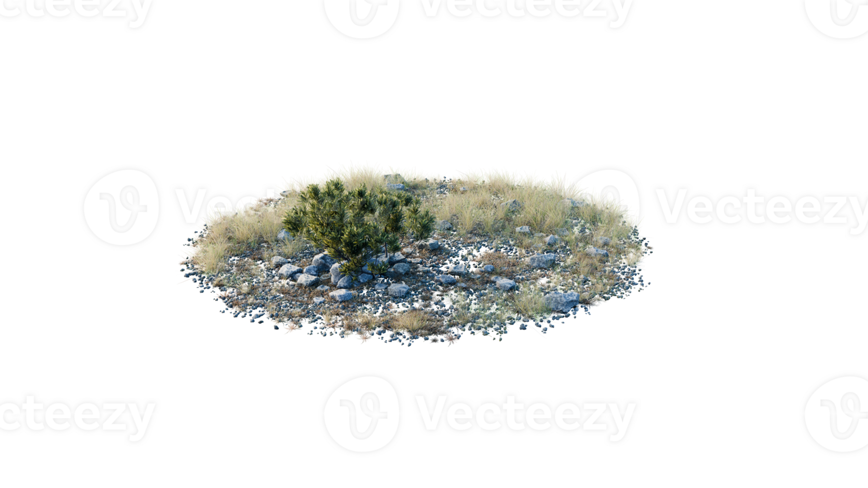 Round surface of Small Plant forest patch covered with flowers, green or dry grass and stone isolated on transparent background. Realistic natural element for design. Bright 3d png
