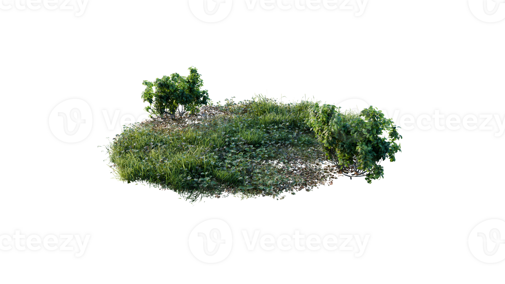 Round surface of Small Plant forest patch covered with flowers, green or dry grass and stone isolated on transparent background. Realistic natural element for design. Bright 3d png