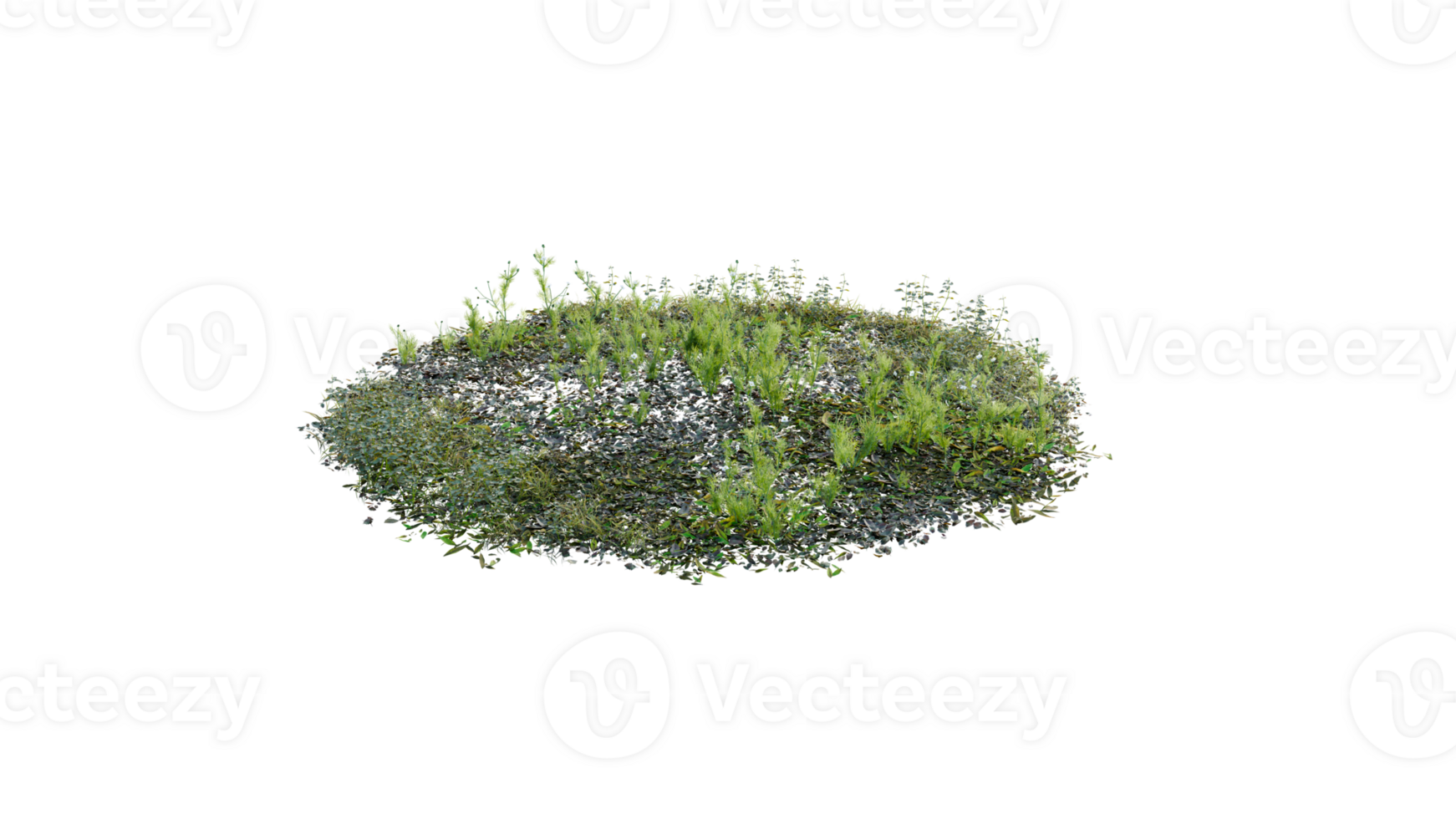 Round surface of Small Plant forest patch covered with flowers, green or dry grass and stone isolated on transparent background. Realistic natural element for design. Bright 3d png
