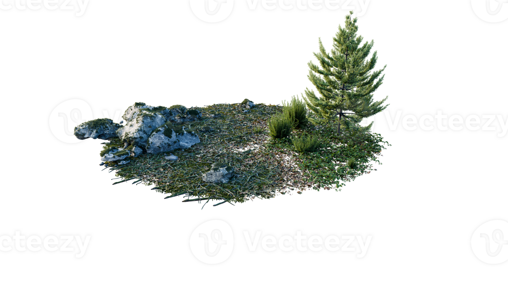 Round surface of Small Plant forest patch covered with flowers, green or dry grass and stone isolated on transparent background. Realistic natural element for design. Bright 3d png