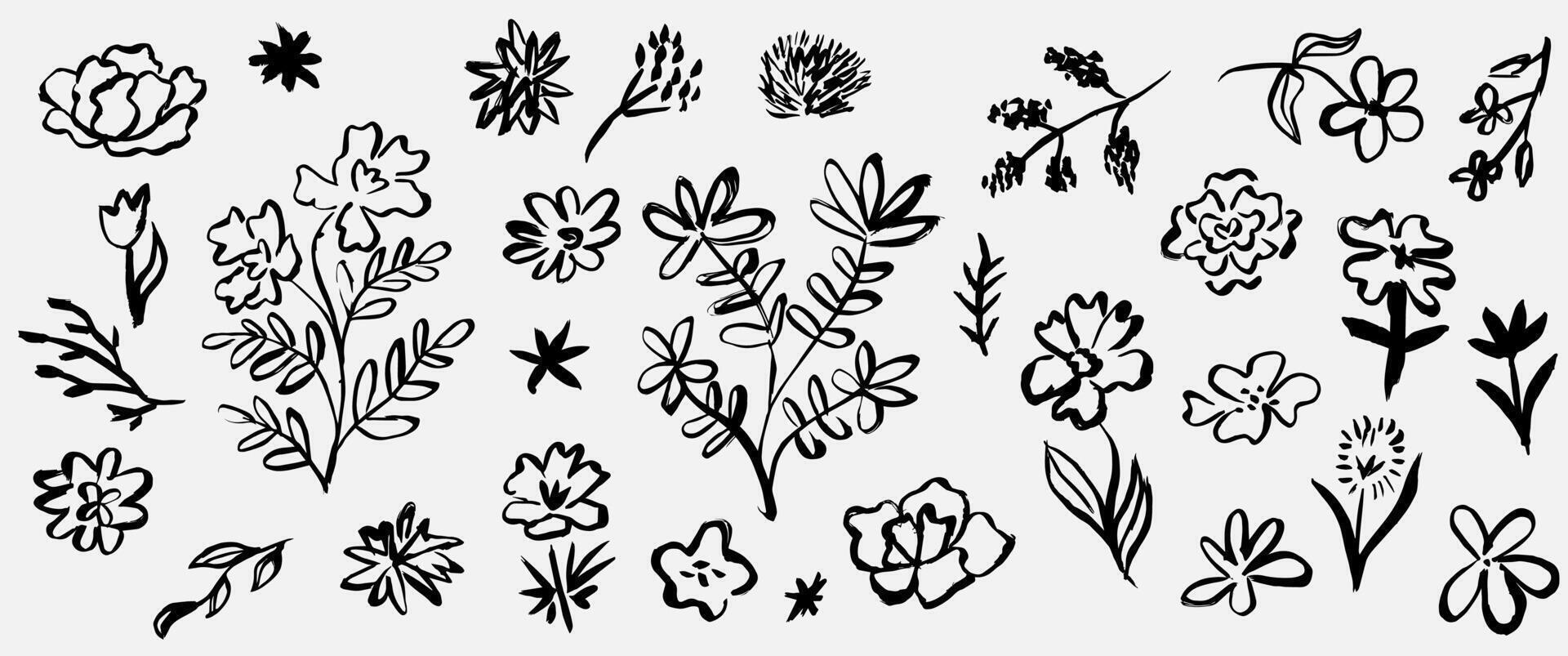 Drawing abstract outline floral botanical elements. Brush paint flowers branch in doodle style. Ink plant. vector