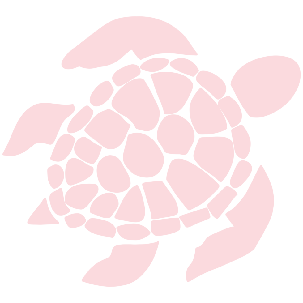 Whimsical Pink Turtle Art png