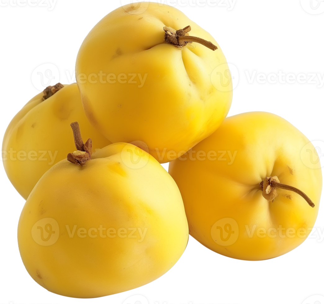 Cydonia oblonga illustration - Bunch of Quinces with leaves isolated on a transparent background png