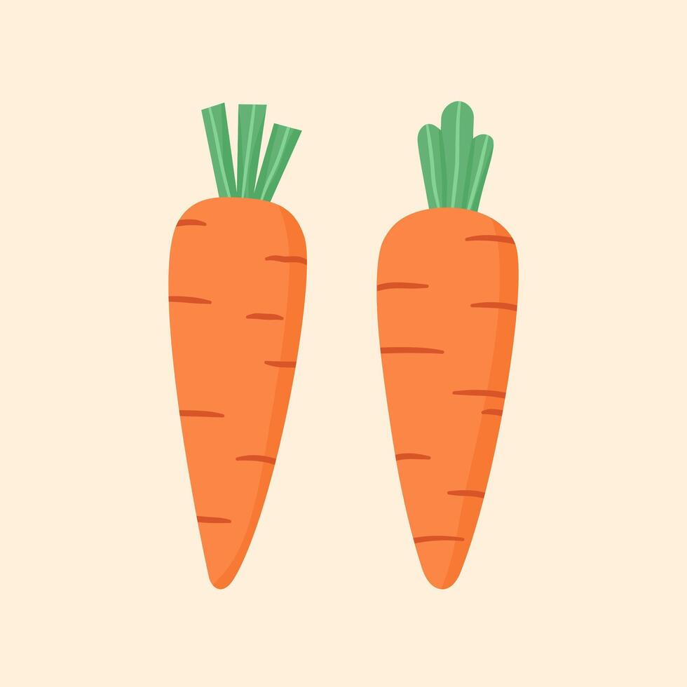 Carrot vegetable with leaf flat design vector
