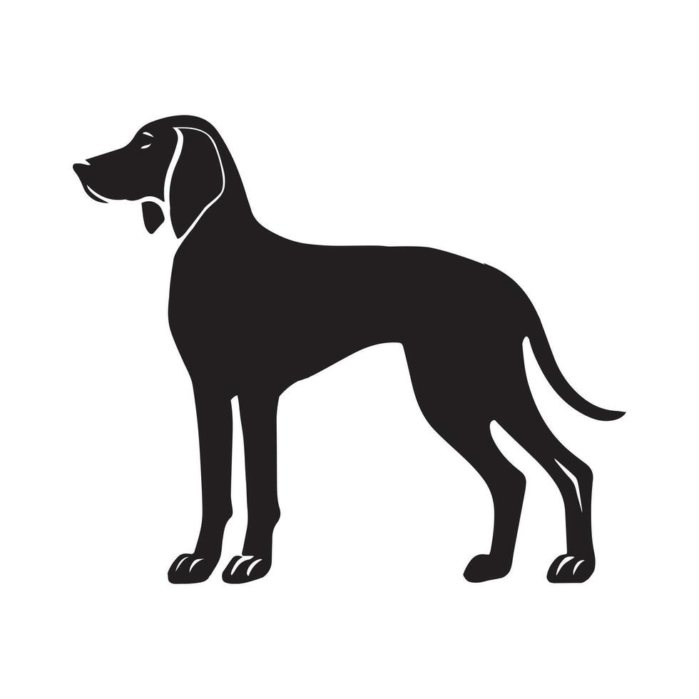 Coonhound dog silhouette Design, Dog Clipart illustration in black and white vector