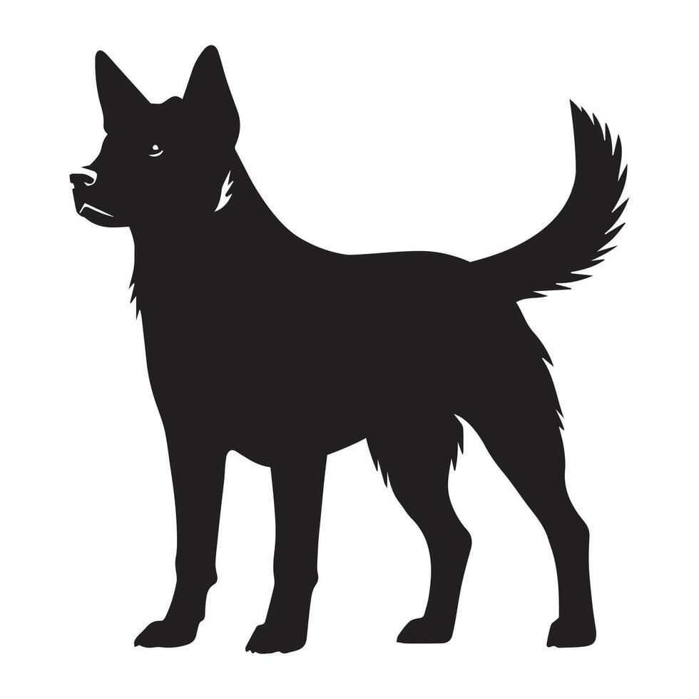 Australian Cattle dog silhouette Design, Dog Clipart illustration in black and white vector