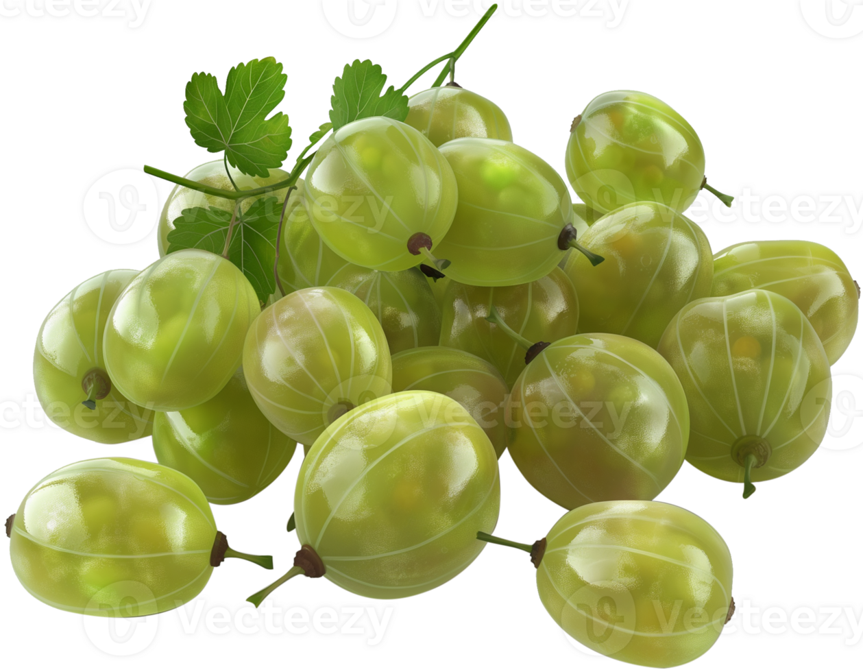 Bunch of gooseberries isolated on a transparent background png