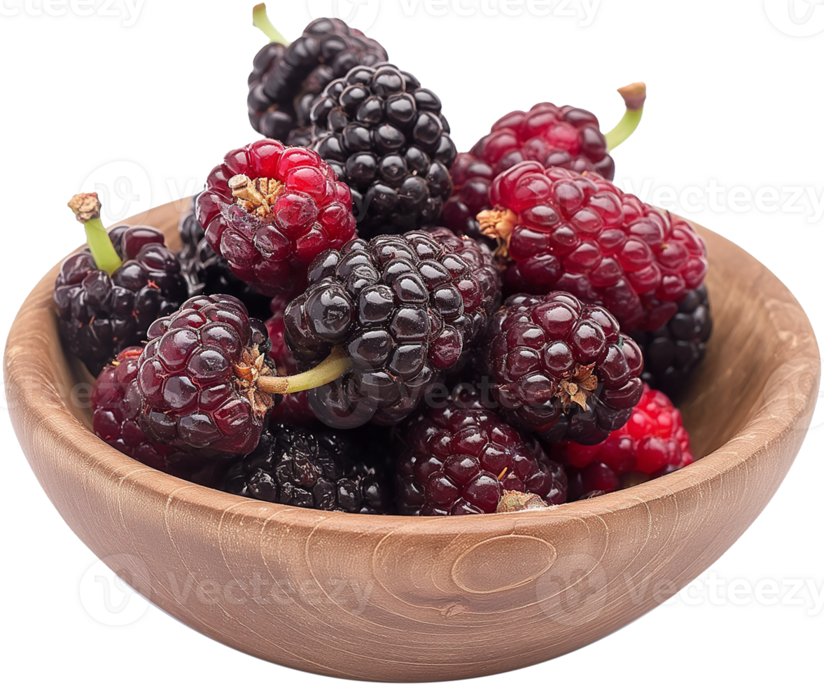 Mulberries illustration - bunch of mulberries in a bawl isolated on a transparent background png