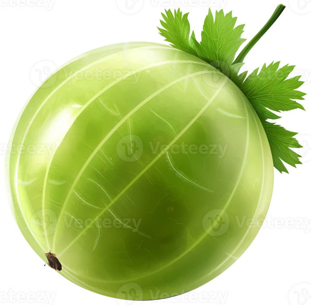 A Gooseberry isolated on a transparent background png