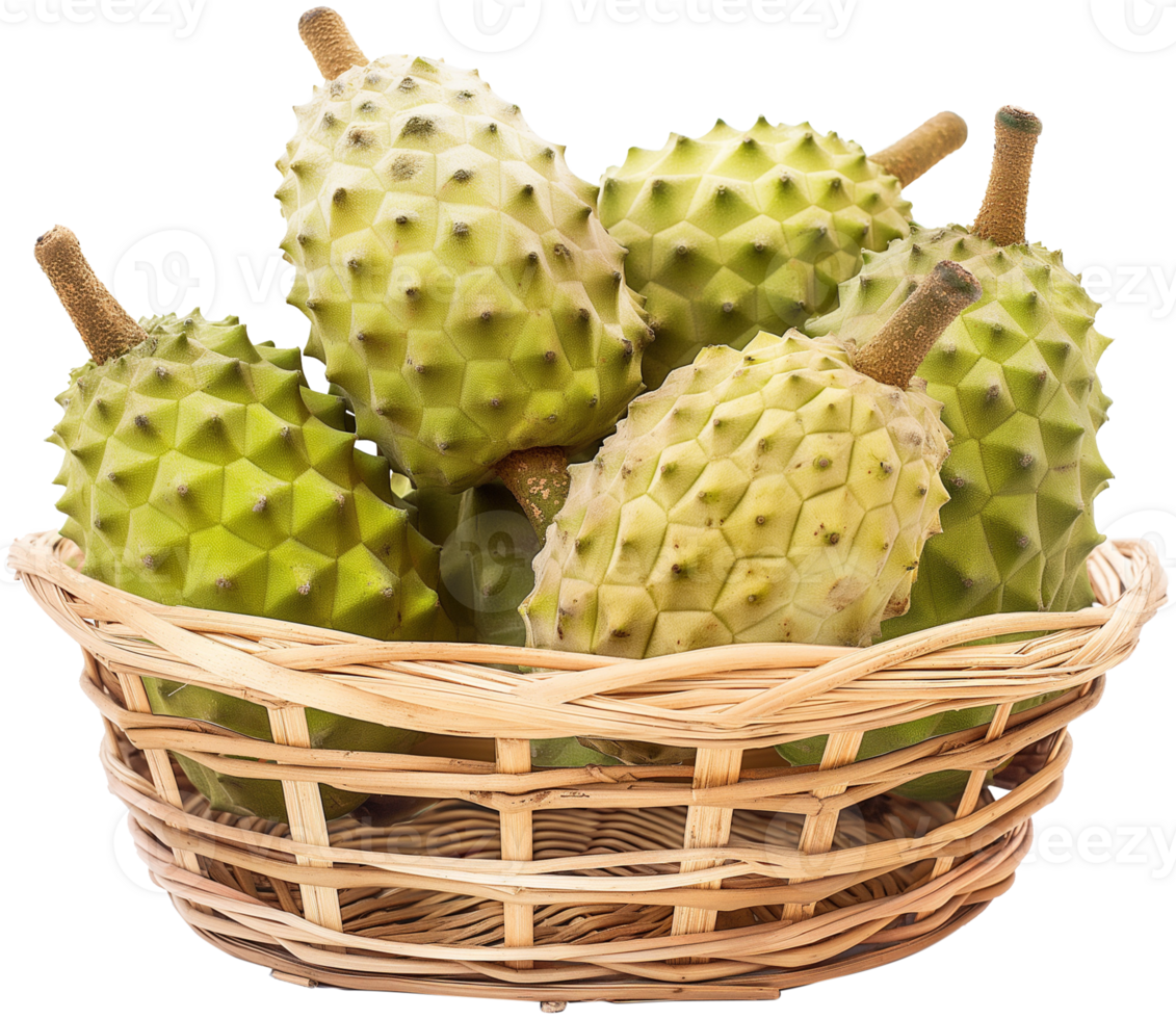 Annona muricata fruit illustration - Ripe soursop in a basket isolated on a transparent background png