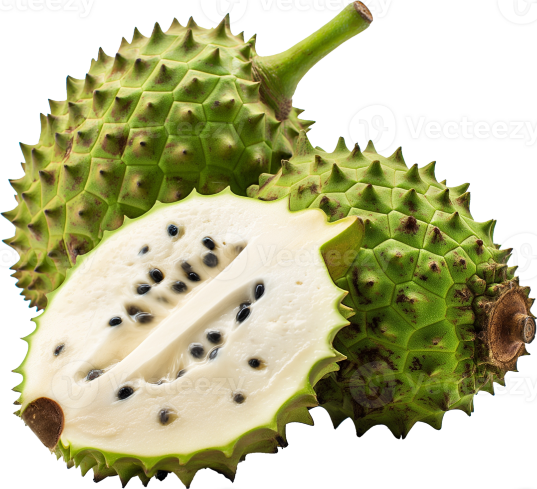 Annona Muricata fruit illustration - Ripe soursop with half cut isolated on a transparent background png