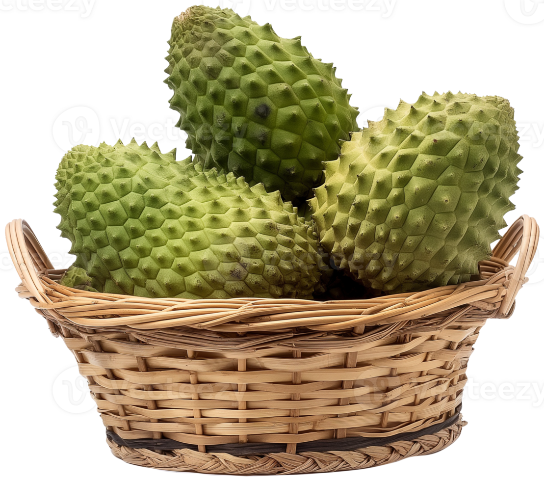 Annona muricata fruit illustration - Ripe soursop in a basket isolated on a transparent background png