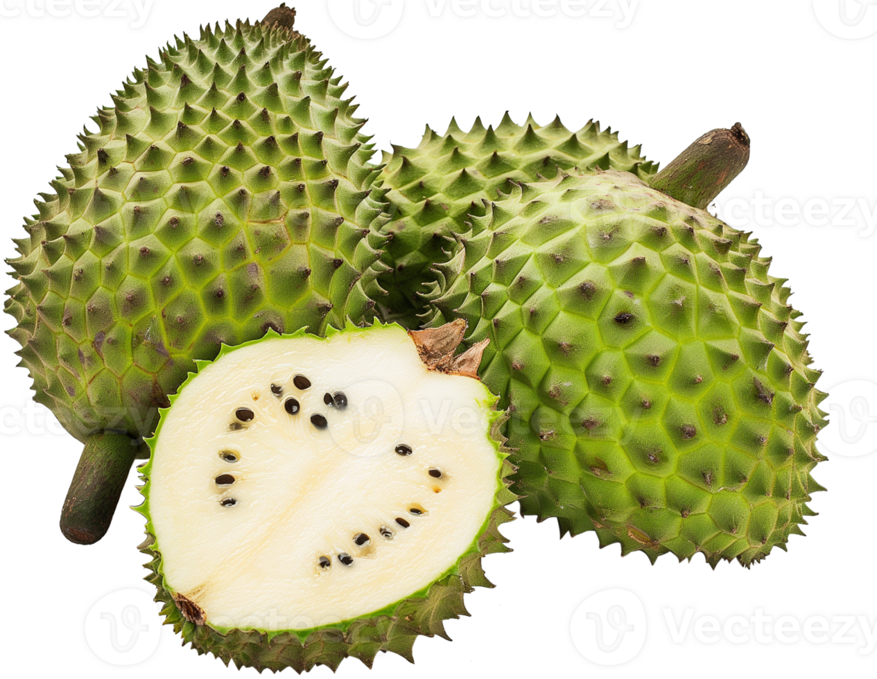 Annona Muricata fruit illustration - Ripe soursop with half cut isolated on a transparent background png