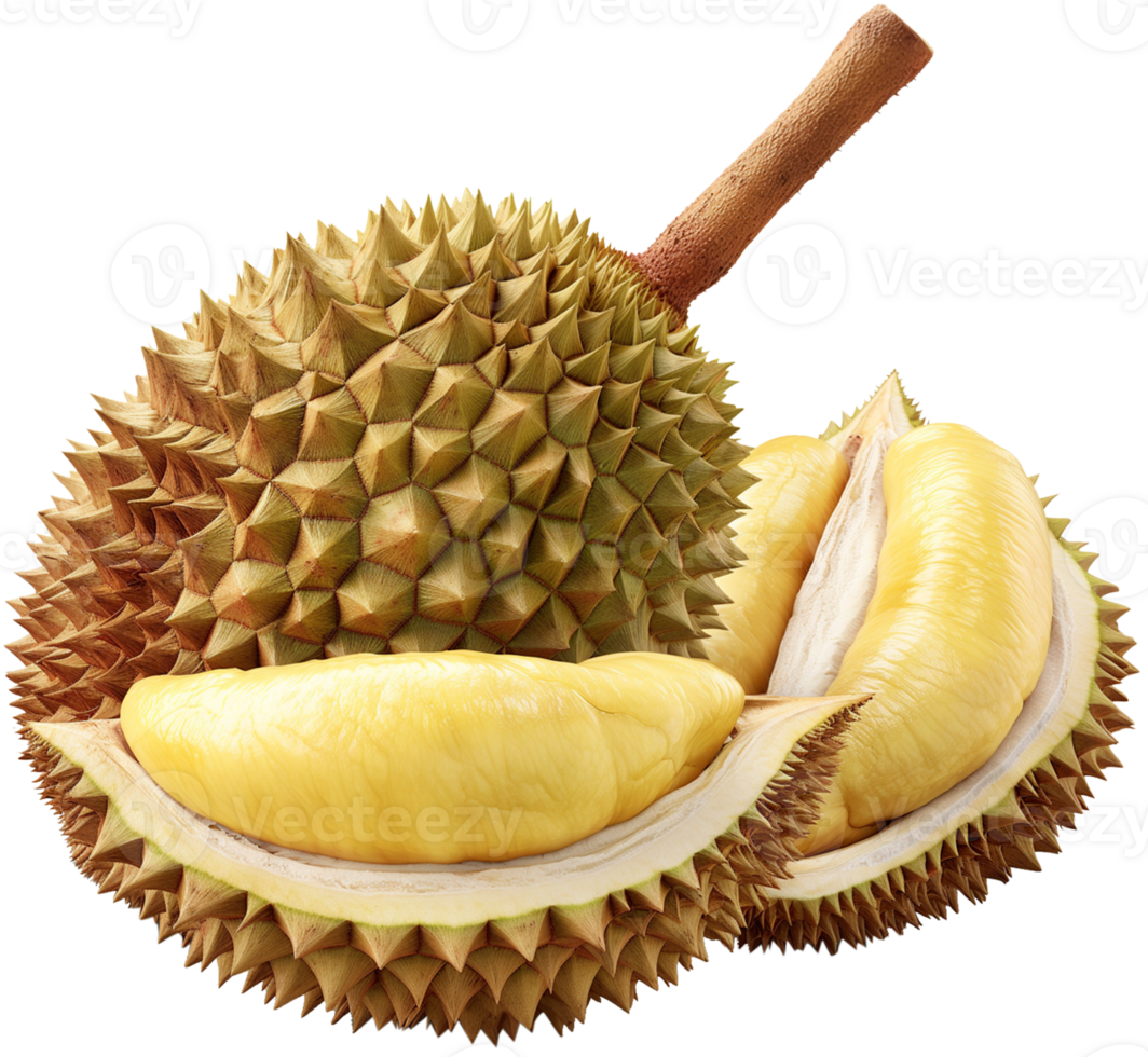 A Durian fruit isolated on a transparent background png