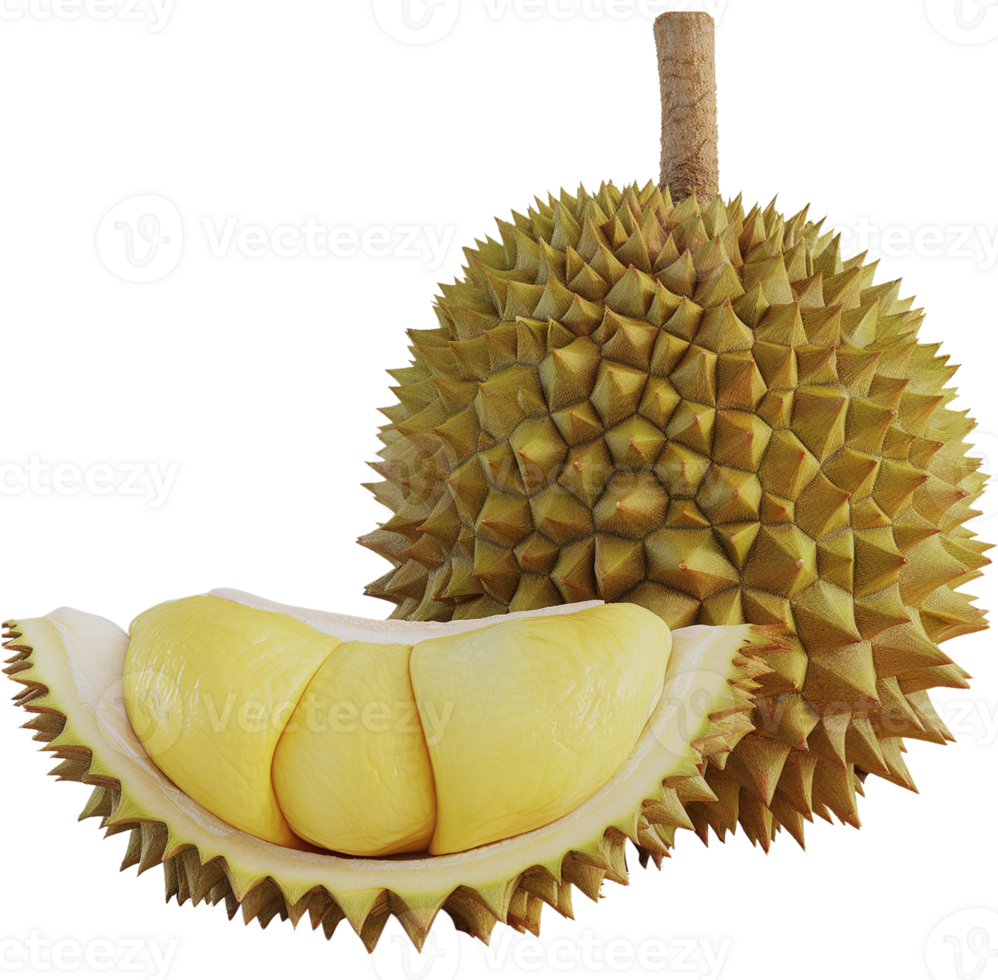Durian Fruit with a half cut isolated on a transparent background png