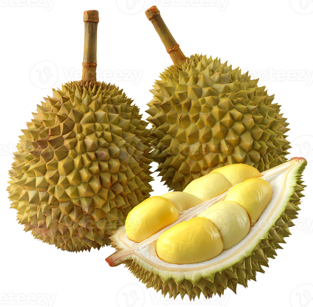 Durian Fruit with a half cut isolated on a transparent background png