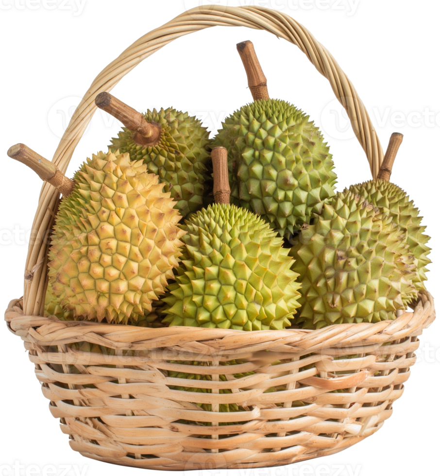 Fresh Durian Fruits in a basket isolated on a transparent background png