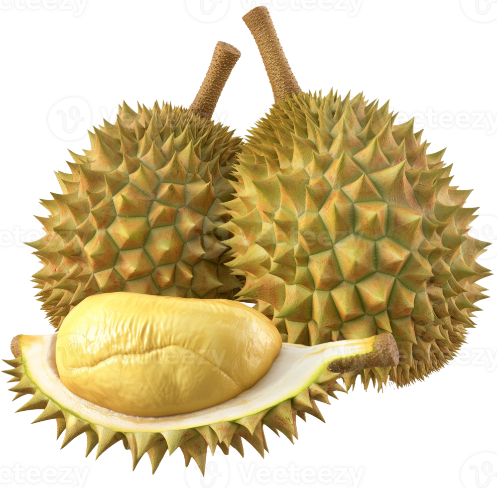 Durian Fruit with a half cut isolated on a transparent background png