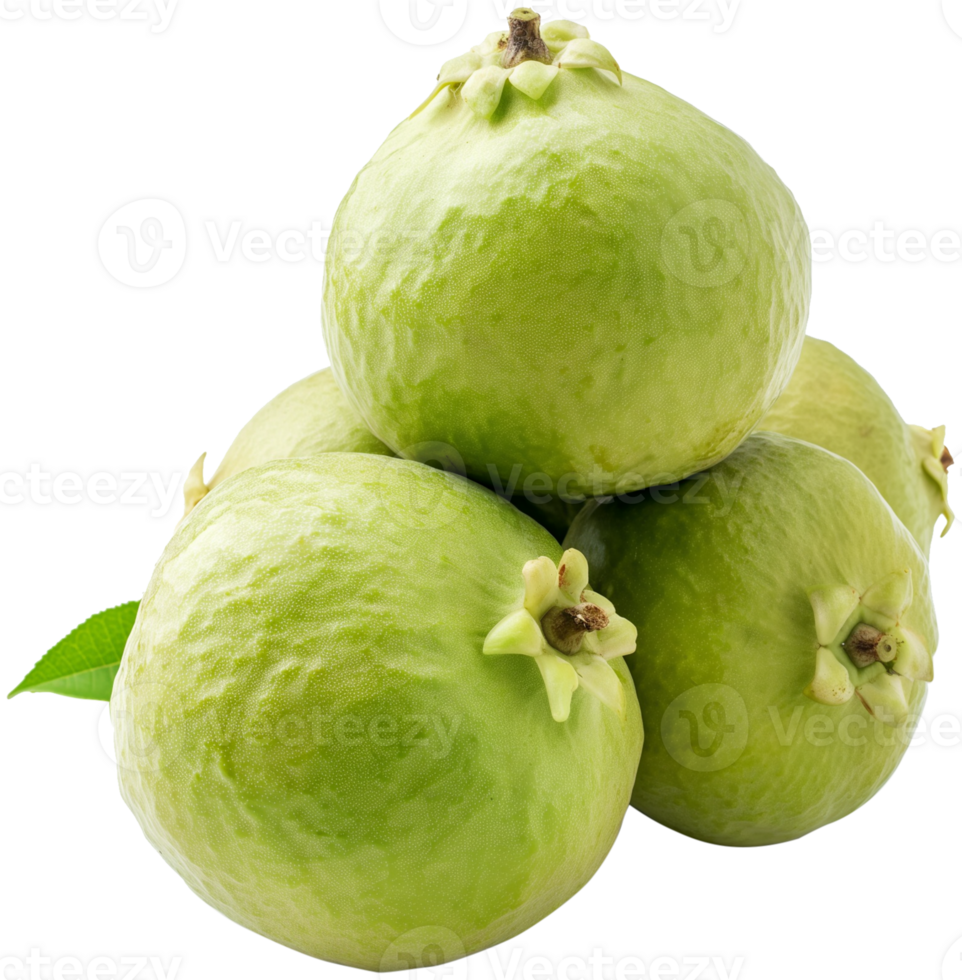 A group of Fresh guava isolated illustration on a transparent background png