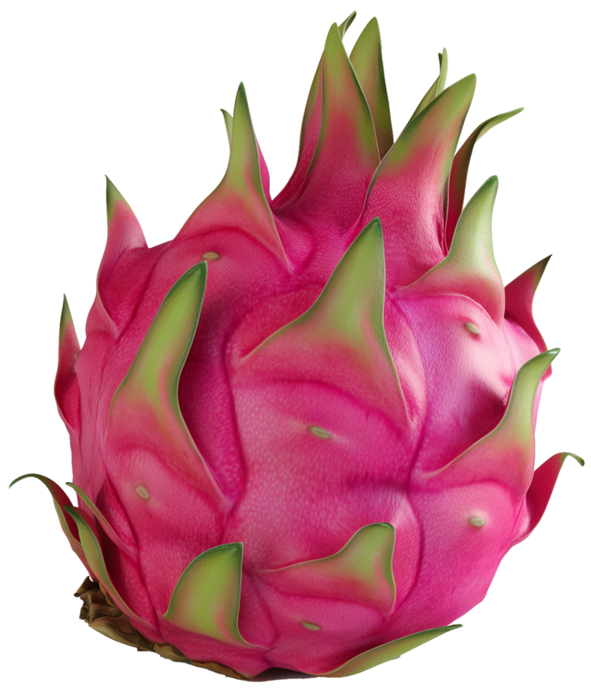 A dragon fruit isolated illustration on a transparent background png
