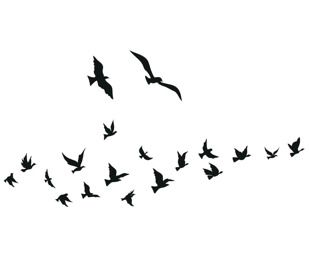 flying birds silhouette set clipart isolated on white background vector