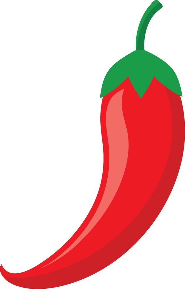 spicy red chili pepper illustration. vector