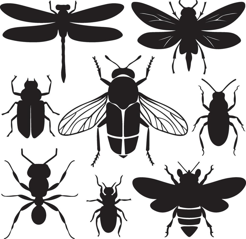 Art and Illustration of a insect silhouette image set vector