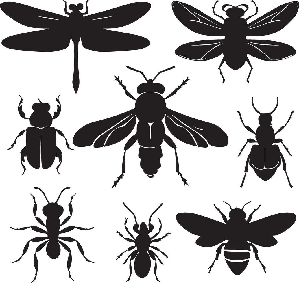Art and Illustration of a insect silhouette image set vector